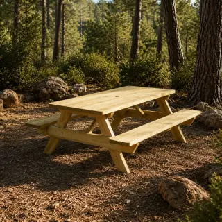 table pique-nique en bois
